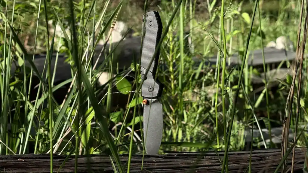 Open Vosteed Raccoon with its tip stuck in a downed log in high grass